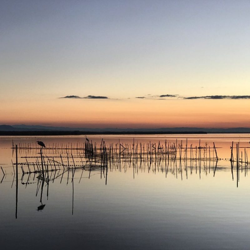 albufera