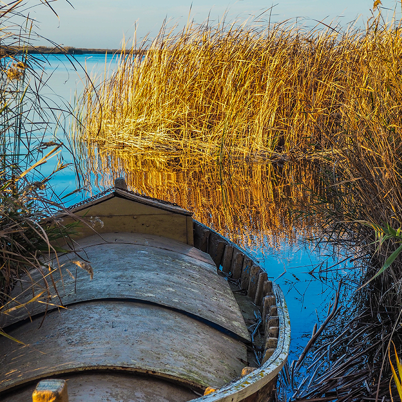 albufera-valencia