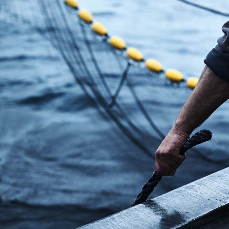 essensaciones-productos-gourmet